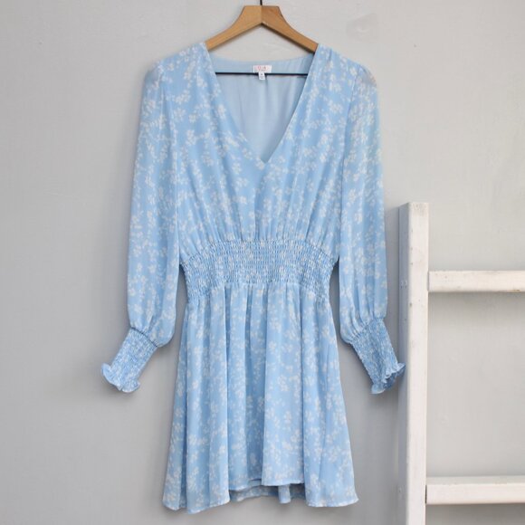 Q+A Los Angeles Blue White Smocked V-Neck Long Sleeve Mini Party Dress Medium - Picture 1 of 6